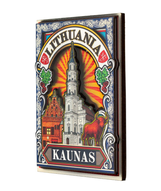 Magnetas Kaunas Rotušė ir Perkūno namai